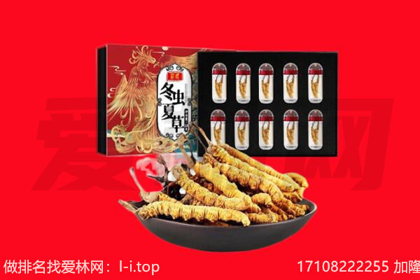 吴川市回收虫草.jpg